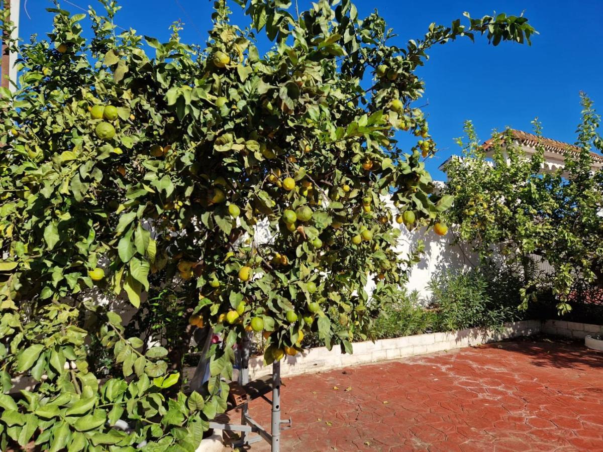Aparthotel Costa Marbella